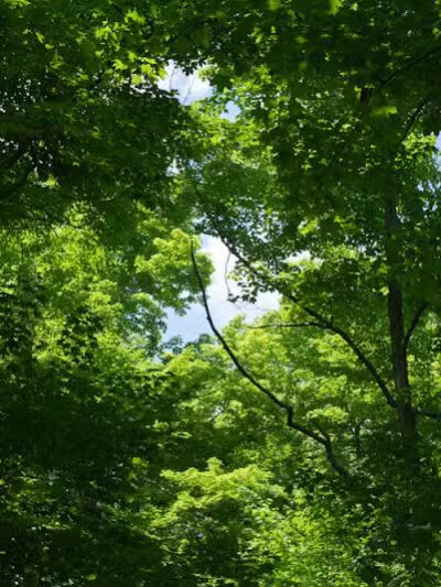 Emily Traphagen Park - Powell, OH