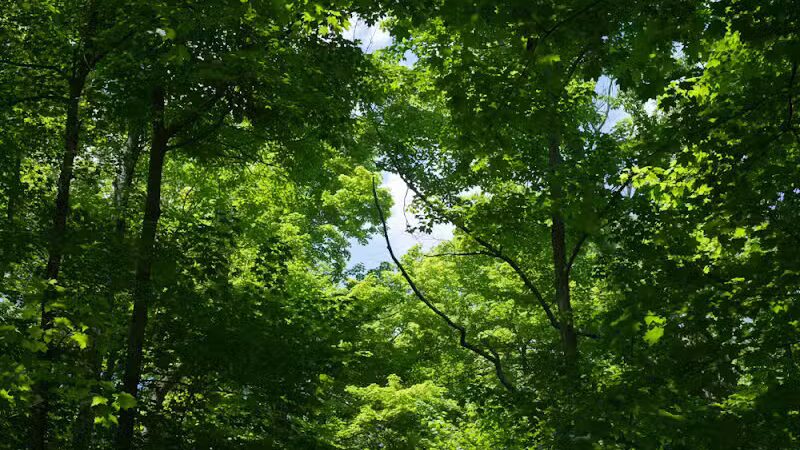 Emily Traphagen Park - Powell, OH