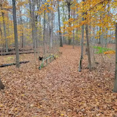 Emily Traphagen Park - Powell, OH