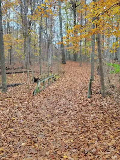 Emily Traphagen Park - Powell, OH