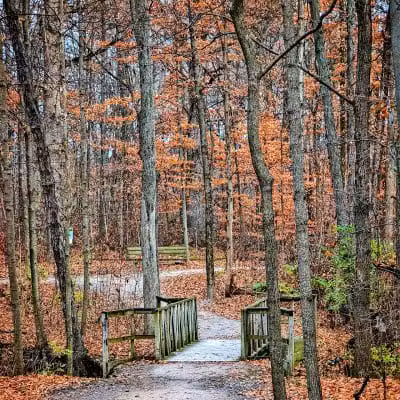 Liberty Park - Powell, OH