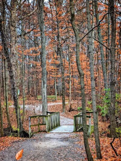 Liberty Park - Powell, OH