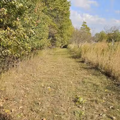 Meadowview Park - Powell, OH