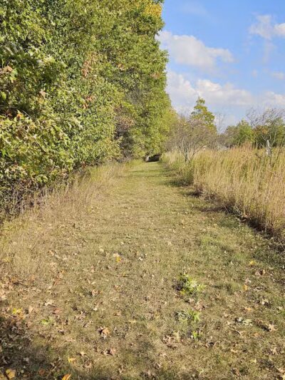 Meadowview Park - Powell, OH