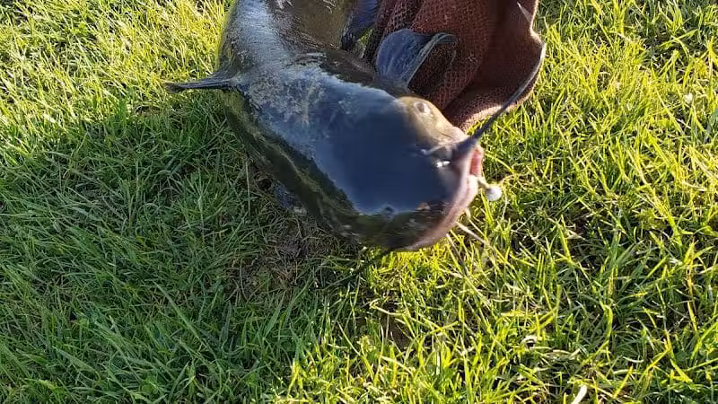 Meadowview Park - Powell, OH