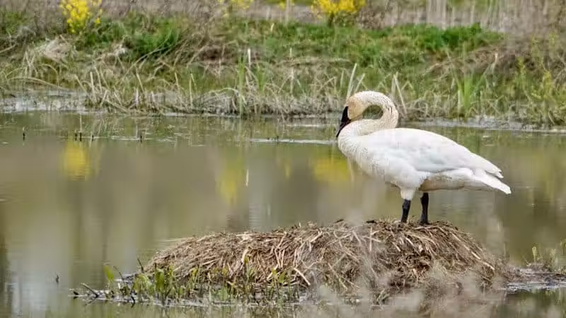 Seldom Seen Park - Powell, OH