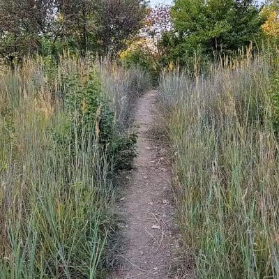 Woodbridge Green Park - Powell, OH