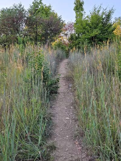 Woodbridge Green Park - Powell, OH