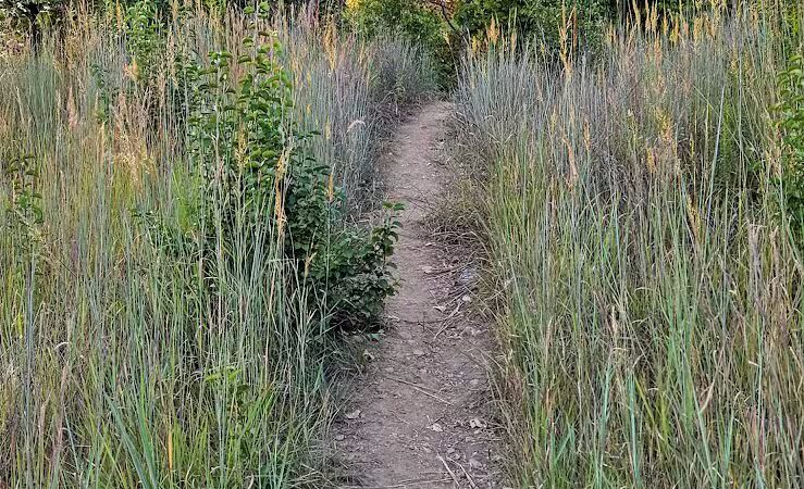 Woodbridge Green Park - Powell, OH