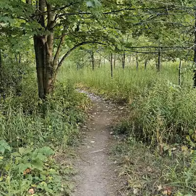 Woodbridge Green Park - Powell, OH