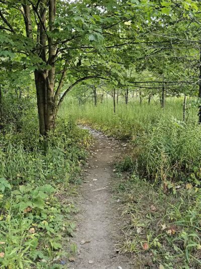 Woodbridge Green Park - Powell, OH