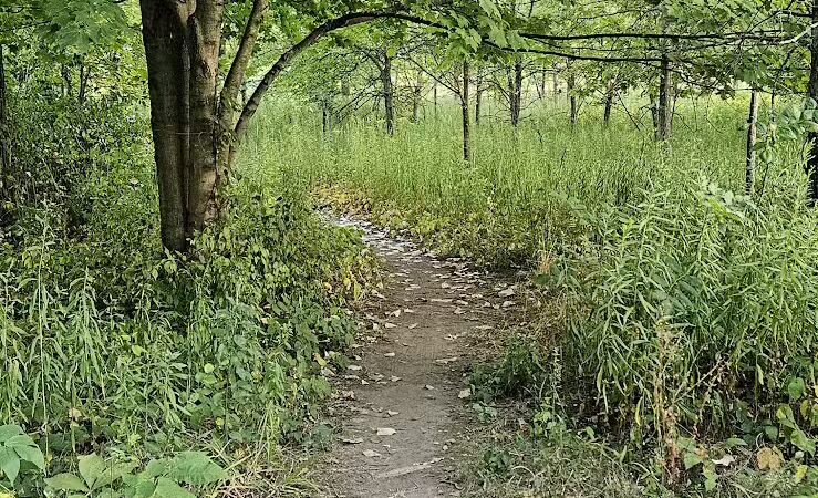 Woodbridge Green Park - Powell, OH