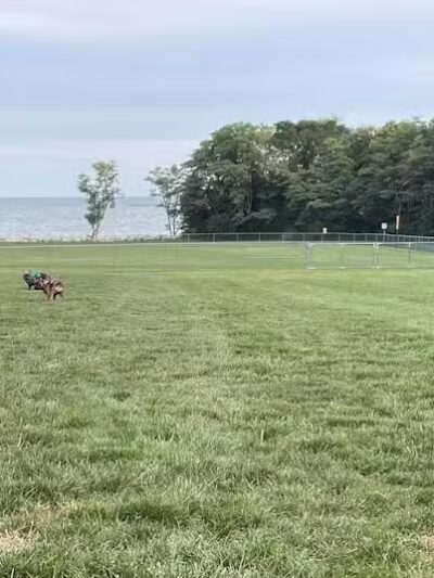 Island Paws - Put-In-Bay, OH