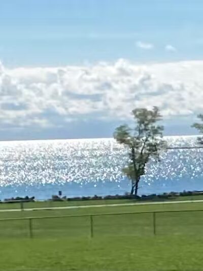 Island Paws - Put-In-Bay, OH