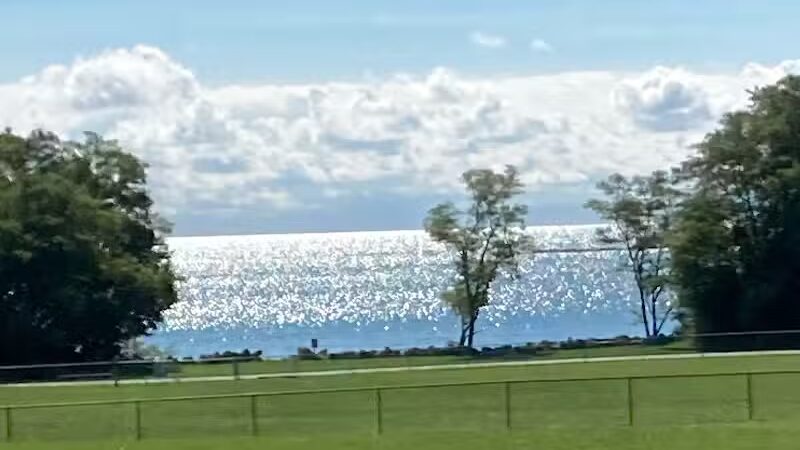 Island Paws - Put-In-Bay, OH