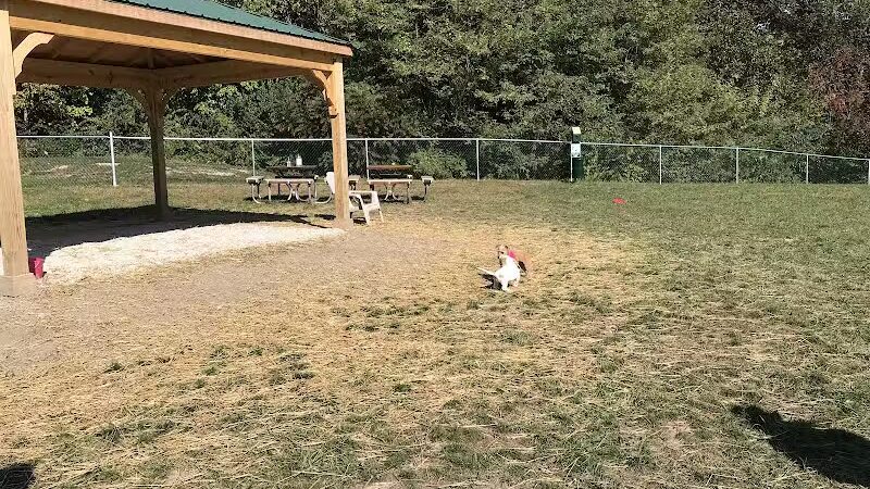 Island Paws - Put-In-Bay, OH