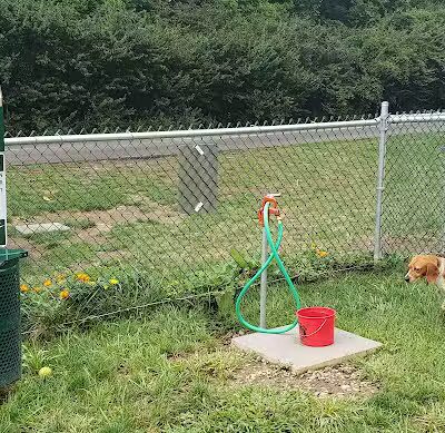 Island Paws - Put-In-Bay, OH