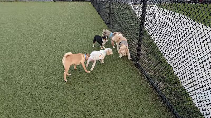 Quincy Dog Park - Quincy, MA