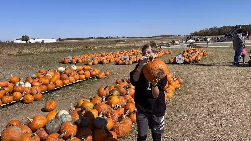 LEHNER'S PUMPKIN FARM - Radnor, OH