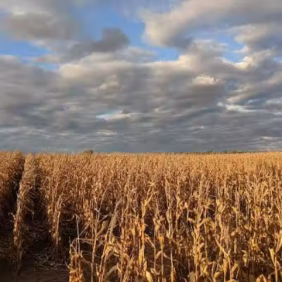 LEHNER'S PUMPKIN FARM - Radnor, OH