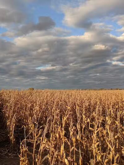 LEHNER'S PUMPKIN FARM - Radnor, OH