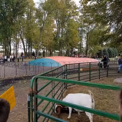 LEHNER'S PUMPKIN FARM - Radnor, OH