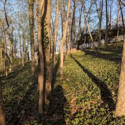 Encke Park - Radnor, PA