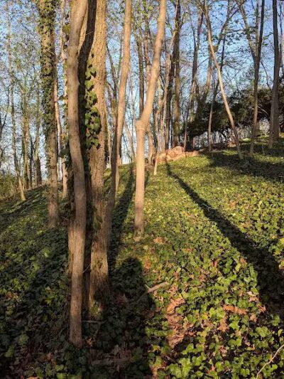 Encke Park - Radnor, PA