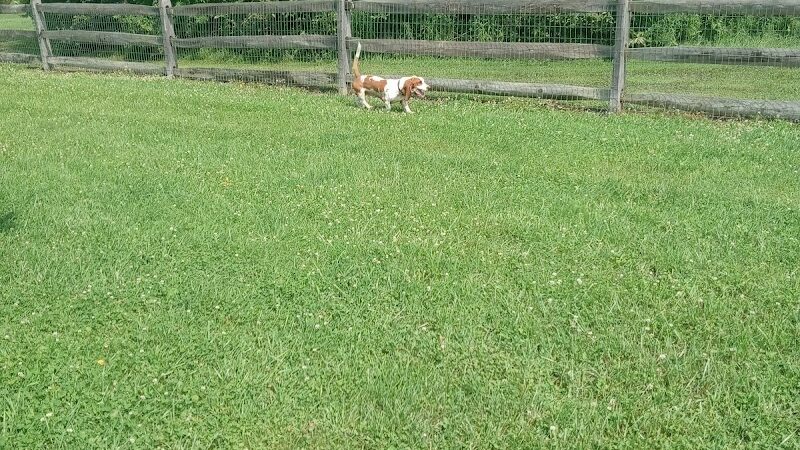 West Branch Dog Park - Ravenna, OH