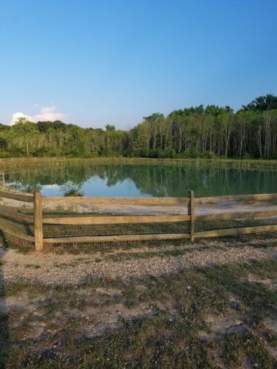 West Branch Dog Park - Ravenna, OH