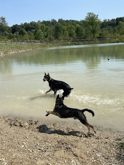 West Branch Dog Park - Ravenna, OH