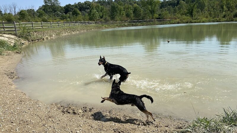 West Branch Dog Park - Ravenna, OH