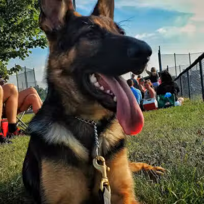 Benton Ridge Park - Rawson, OH