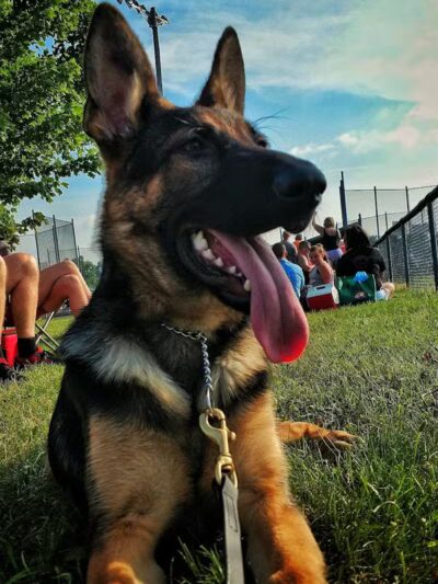 Benton Ridge Park - Rawson, OH