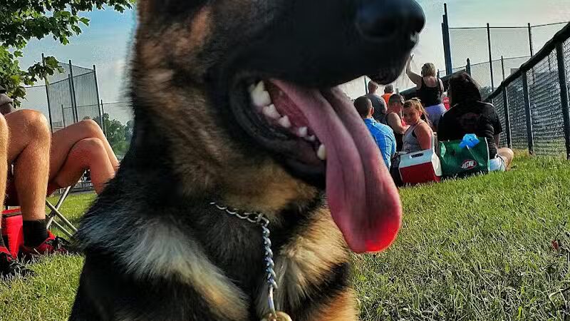 Benton Ridge Park - Rawson, OH