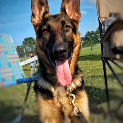 Benton Ridge Park - Rawson, OH