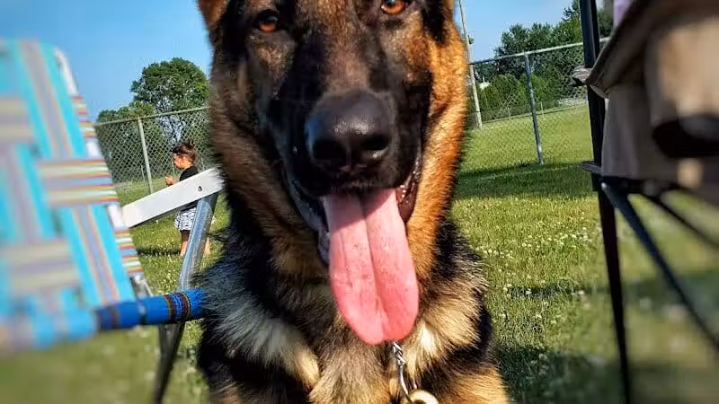 Benton Ridge Park - Rawson, OH