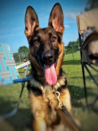 Benton Ridge Park - Rawson, OH