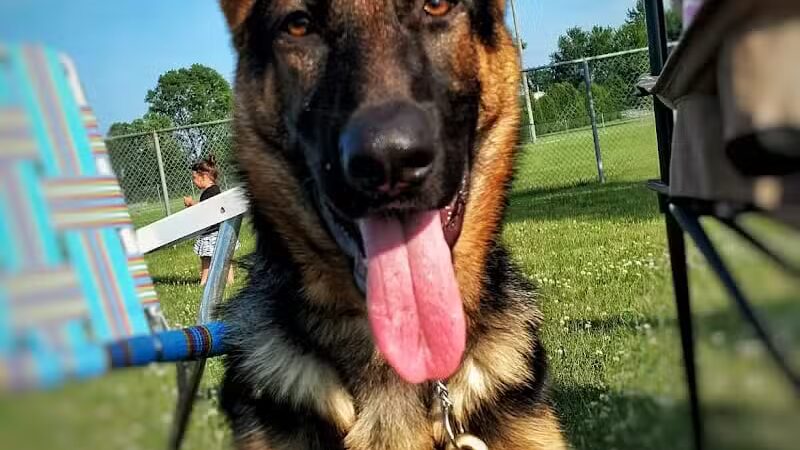 Benton Ridge Park - Rawson, OH