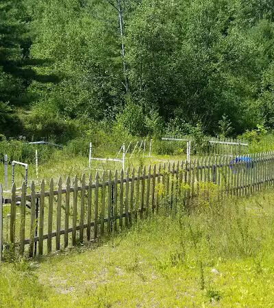 Riverside Bark Dog Park - Raymond, NH