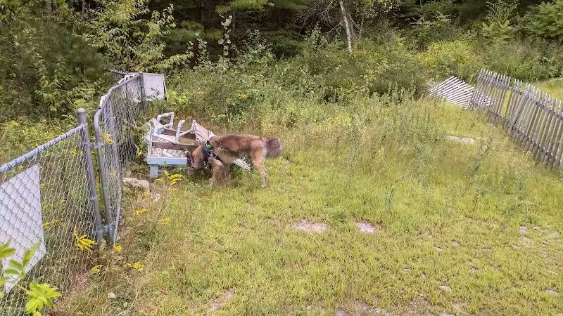 Riverside Bark Dog Park - Raymond, NH