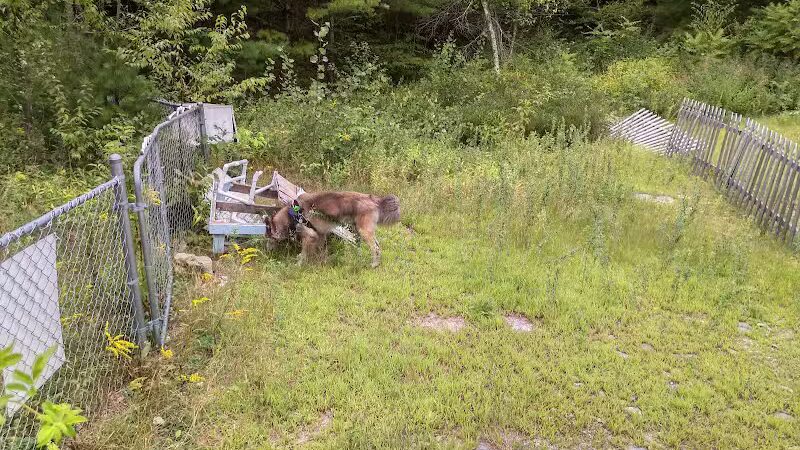 Riverside Bark Dog Park - Raymond, NH