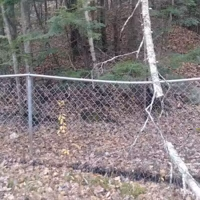 Riverside Bark Dog Park - Raymond, NH
