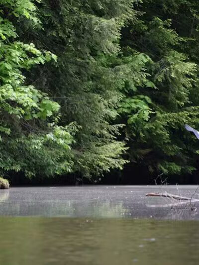 Forked Run State Park - Reedsville, OH