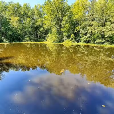 Blacklick Woods Metro Park - Reynoldsburg, OH