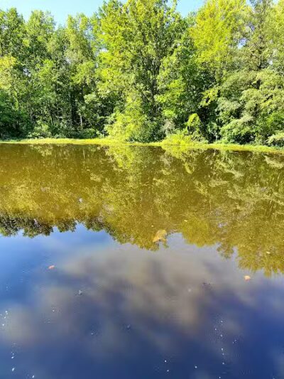 Blacklick Woods Metro Park - Reynoldsburg, OH