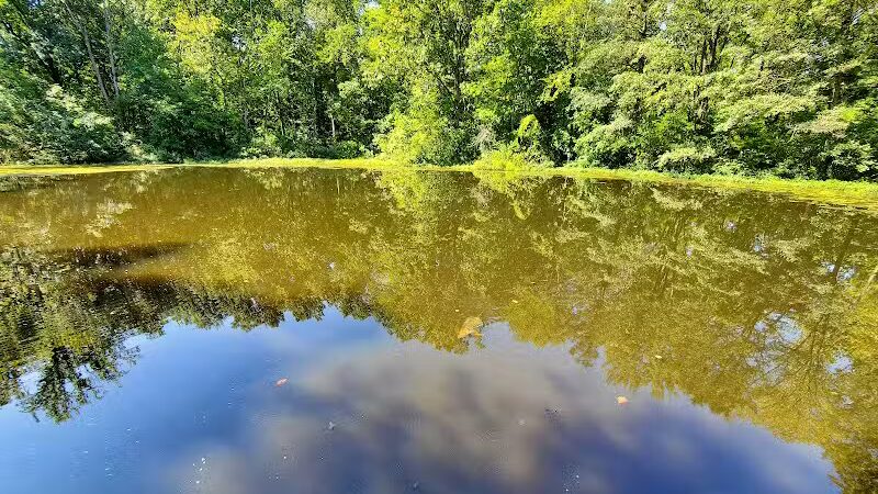 Blacklick Woods Metro Park - Reynoldsburg, OH
