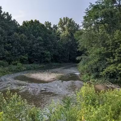 Blacklick Woods Metro Park - Reynoldsburg, OH