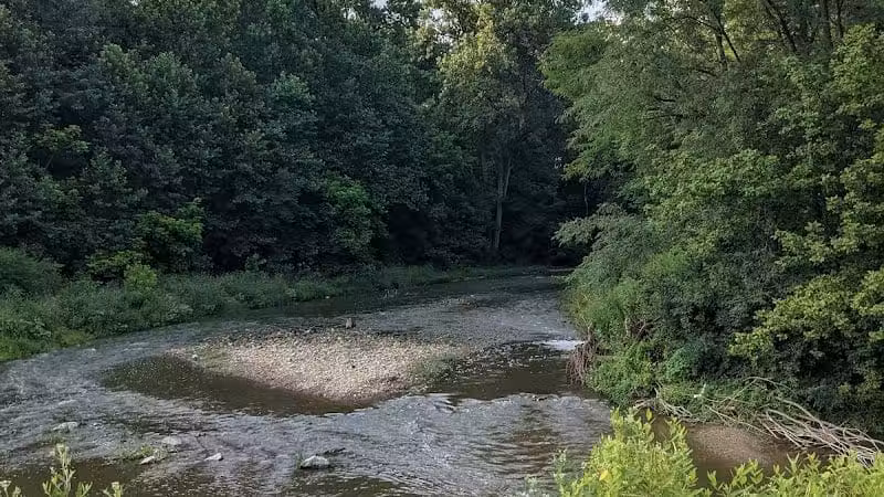 Blacklick Woods Metro Park - Reynoldsburg, OH