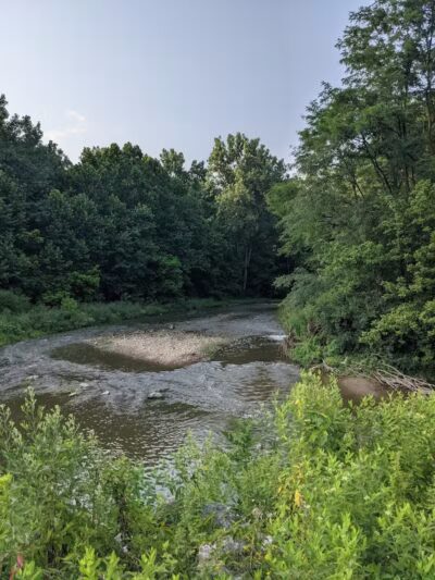 Blacklick Woods Metro Park - Reynoldsburg, OH